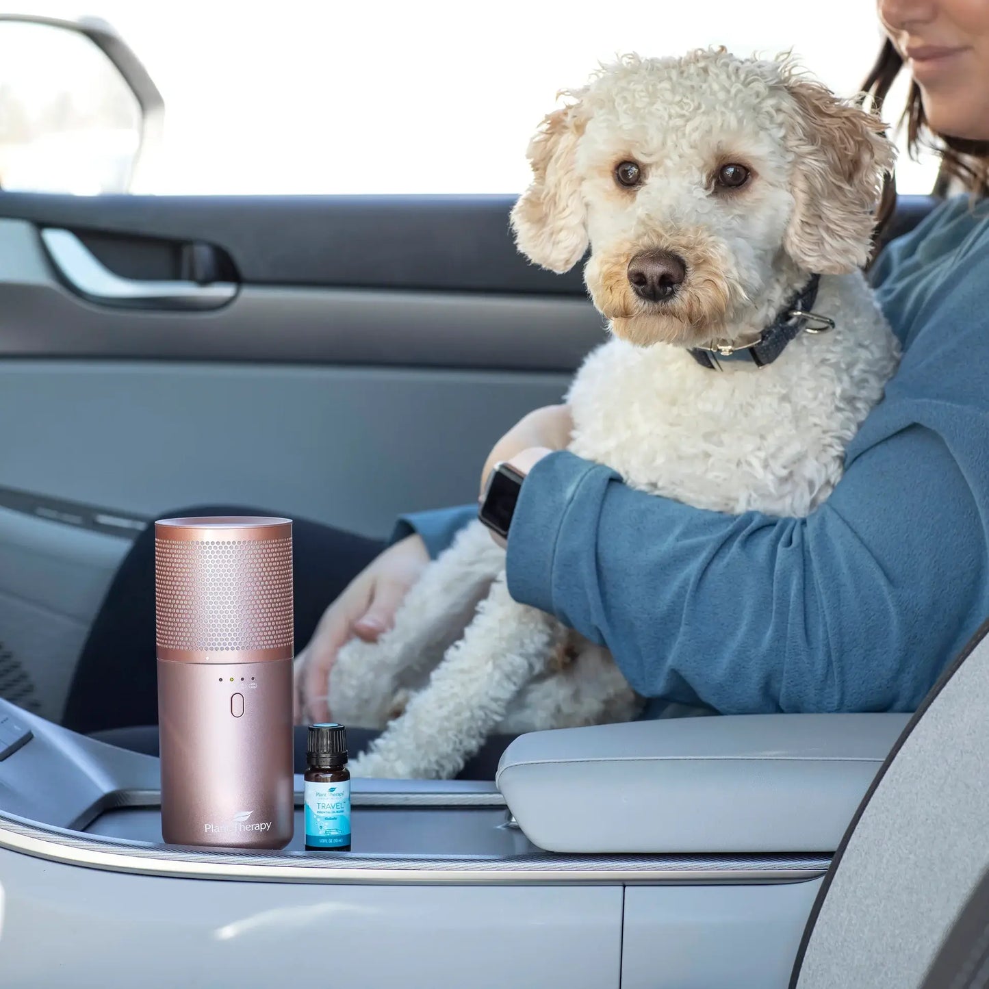 Rose Gold Portable Diffuser w/Travel Pack