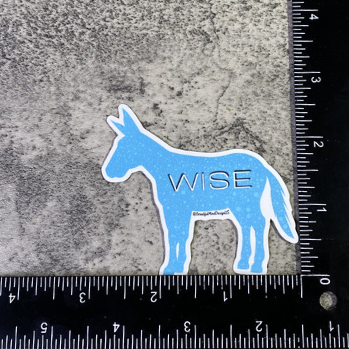 Wise Ass Vinyl Sticker